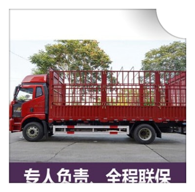 惠州到文昌直達(dá)專線電話-惠州到文昌貨運(yùn)拉貨價(jià)錢商家-惠州到文昌定線