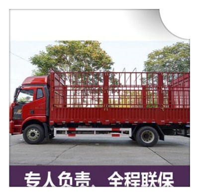 陽江到高州直達專線電話