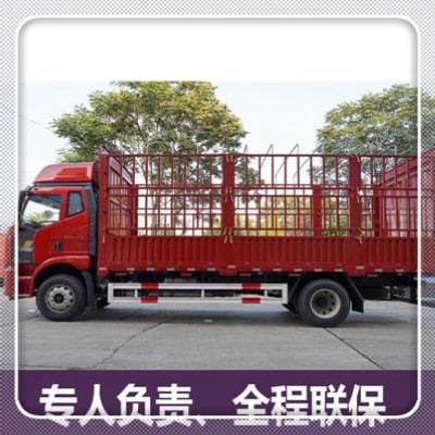 湛江到開封直達(dá)專線電話-湛江到開封拉貨價(jià)錢-物流公司號(hào)碼